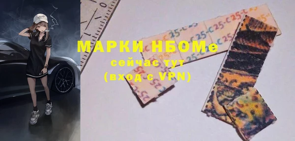 индика Нефтегорск