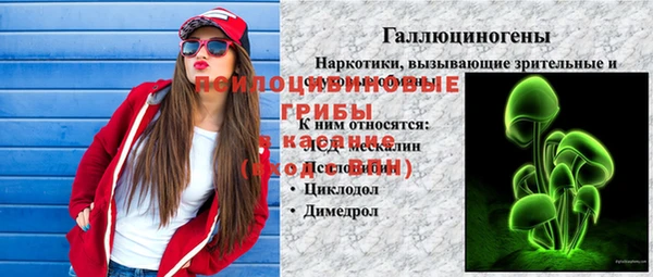 стафф Аркадак