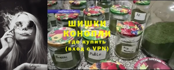 стафф Аркадак