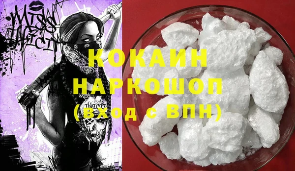 твердый Лагань