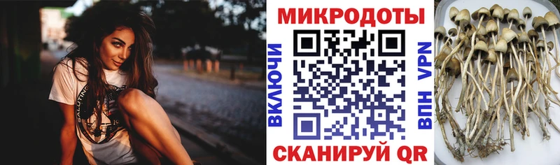 Псилоцибиновые грибы MAGIC MUSHROOMS  даркнет официальный сайт  Кочубеевское  наркота 
