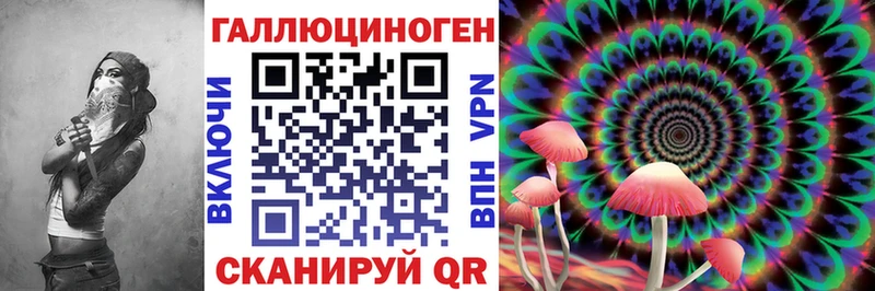 Галлюциногенные грибы Psilocybe Кочубеевское
